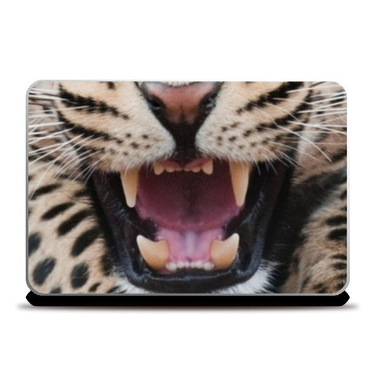 Laptop Skins, Cheeta Laptop Skins