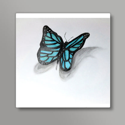 Butterfly Square Art Prints