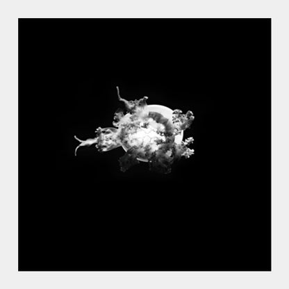 BW Jelly Fish Square Art Prints