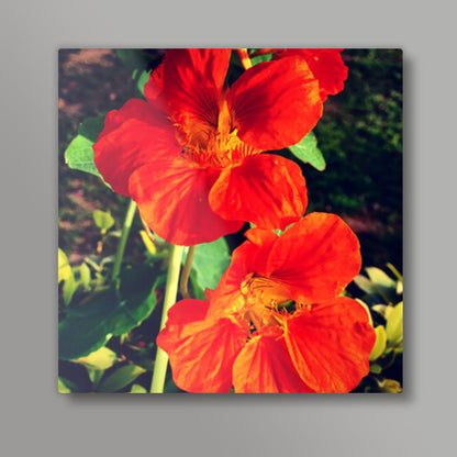 Beautiful Orange Flowers Square Art