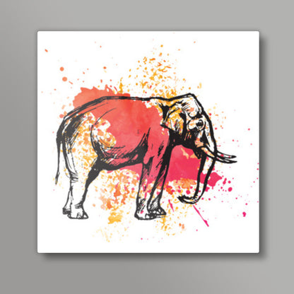 Painted Pachyderm | Lotta Farber Square Art