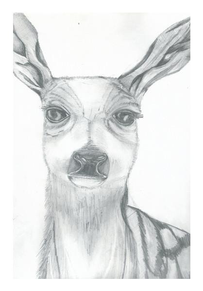 PosterGully Specials, Dear deer Pencil sketch Wall Art