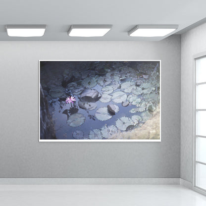 pink Wall Art