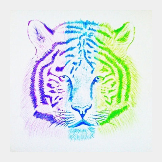 Three Coloured Tiger Square Art Prints