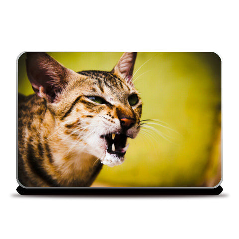 Furrocious Cat Laptop Skins