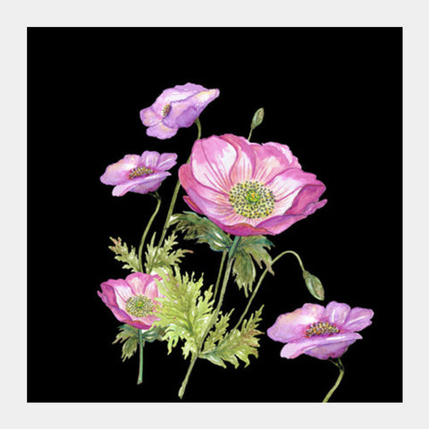 Beautiful Poppy Flowers On Black Background Watercolor Illustration Square Art Prints PosterGully Specials