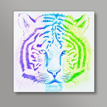 Three Coloured Tiger Square Art Prints