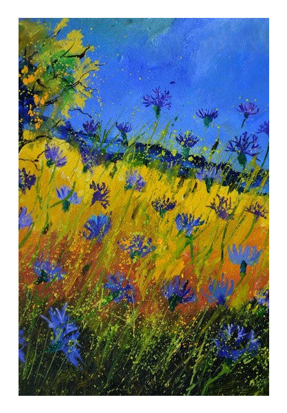 Cornflowers 5661 Art PosterGully Specials