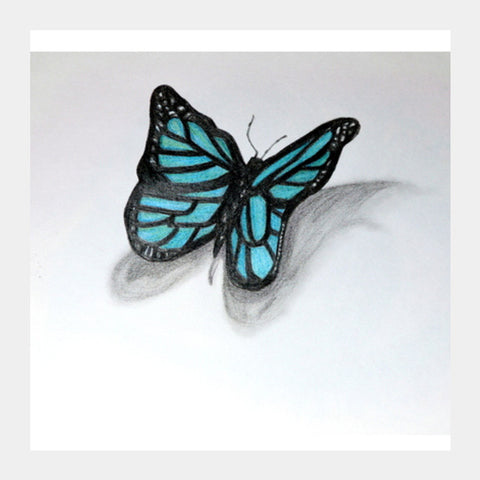 Square Art Prints, Butterfly Square Art Prints