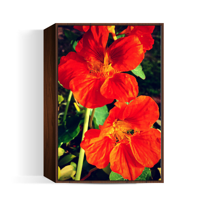 Beautiful Orange Flowers Wall Art