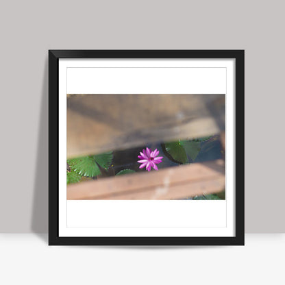 LOTUS Square Art Prints