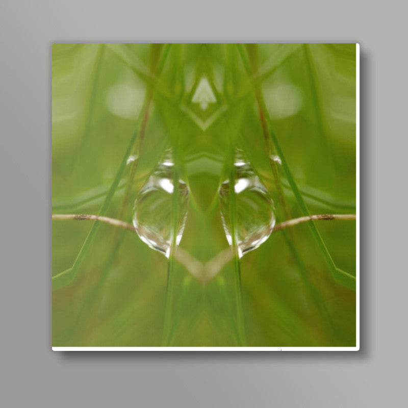 Best of Nature Square Art Prints