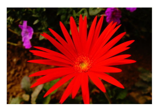 LOVE HOPE JOY Art PosterGully Specials