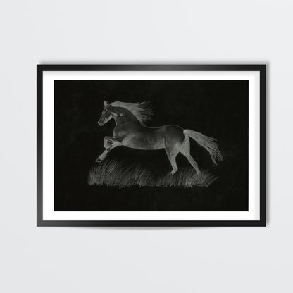 Black Beauty Wall Art