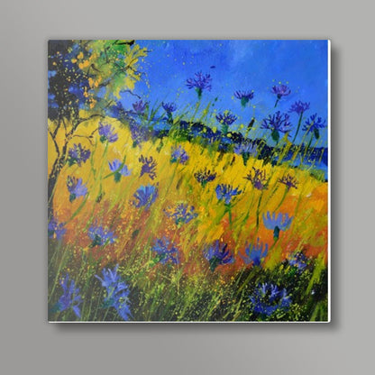 cornflowers 5661 Square Art Prints