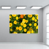 Yellow Calendula Flowers Nature Garden Photography Botanical  Wall Art