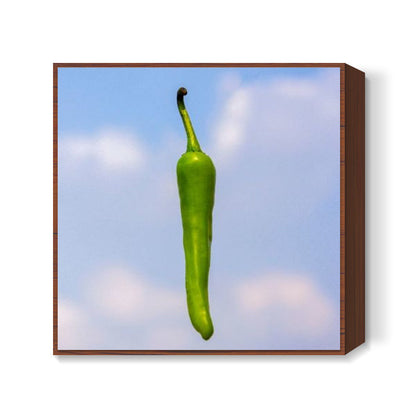 Chilli  Square Art