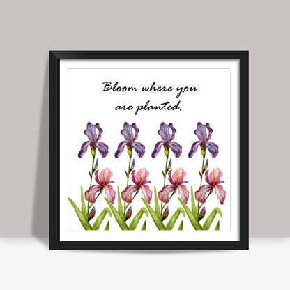 Blooming Iris Flowers Square Art Print l Artist: Seema Hooda