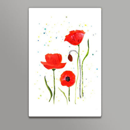 Poppy Flowers/Shweta D