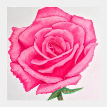 Square Art Prints, Rose Artwork