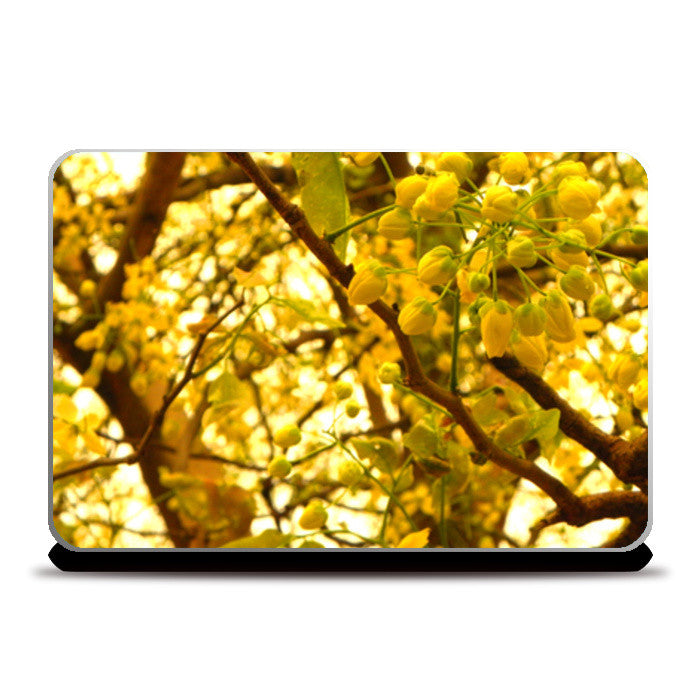 Laptop Skins, blossom Laptop Skins