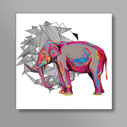 Elephant Dimensions | Lotta Farber Square Ar