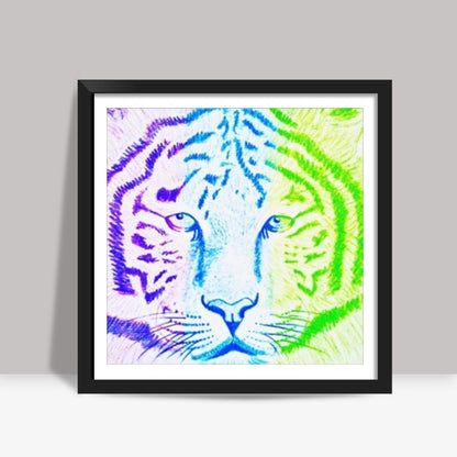 Three Coloured Tiger Square Art Prints
