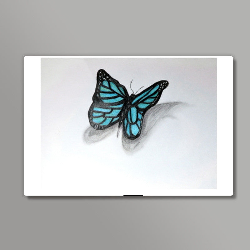 Butterfly Wall Art