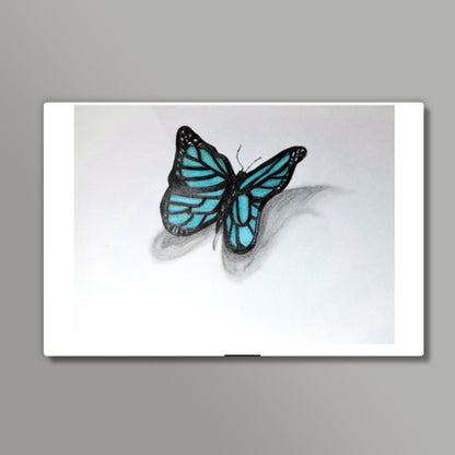 Butterfly Wall Art