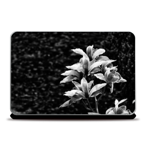 Nature - Black & White Laptop Skins