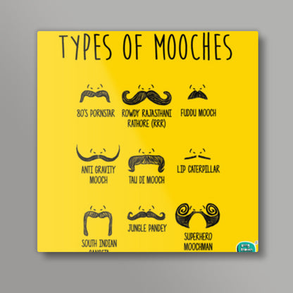Types of Mooches Yellow Square Art Prints