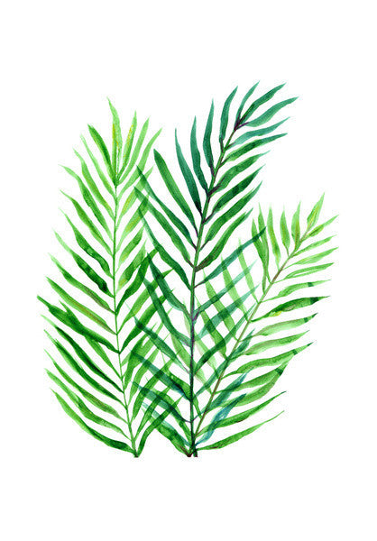 Green Palm Leaves Tropical Background Watercolor Illustration Art PosterGully Specials