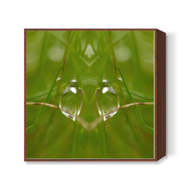 Best of Nature Square Art Prints