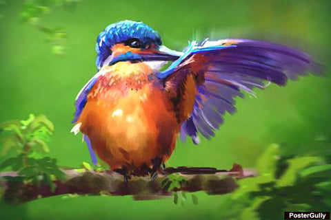 Brand New Designs, Bird Color Painting Artwork