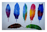 Feathers Wall Art
