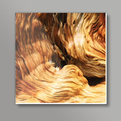 Into the Woods - Wood Pattern | Nature Edition Square Art Prints