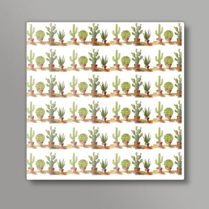 Potted Cactus Plant Rows Pattern Square Art Prints