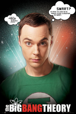 Maxi Poster, Big Bang Theory Sheldon Quotes, - PosterGully