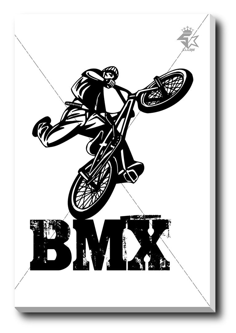 Wall Art, BMX Rider