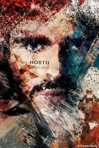 Wall Art, Game Of Thrones | North Remembers Artwork, - PosterGully