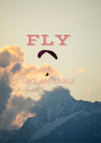 Brand New Designs, Fly Like An Eagle Artwork