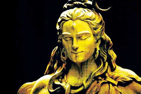Brand New Designs, The Contemplative Shiva Artwork