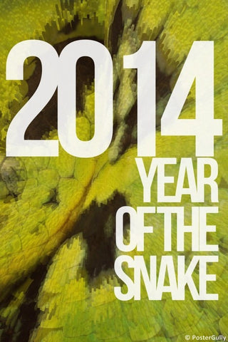Wall Art, 2014 Year Of Snake, - PosterGully