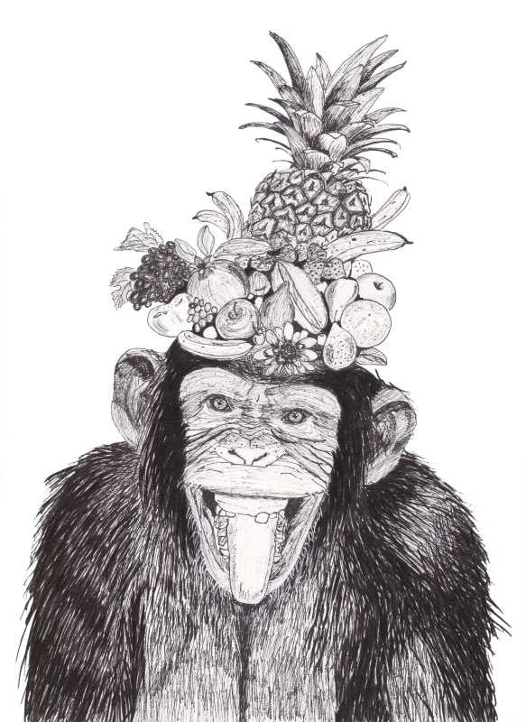 Wall Art, Chimpanzee Sketch Artwork