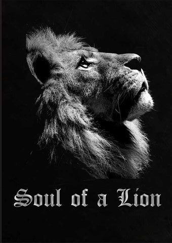Brand New Designs, Soul Of A lion Artwork