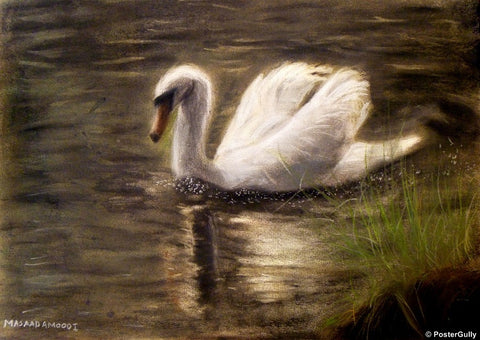 Wall Art, Swan | By Masaad, - PosterGully