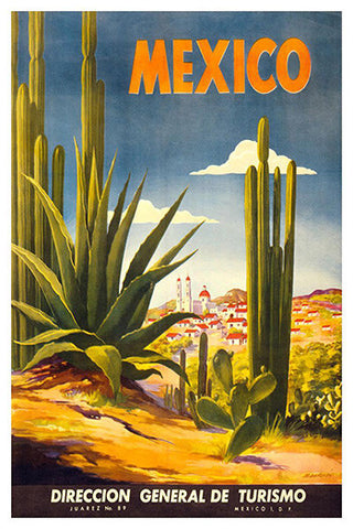 Wall Art, Mexico Cactus, - PosterGully