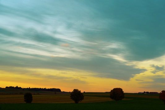 Wall Art, Clouds Swamp Apart, - PosterGully