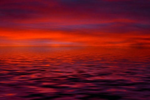 Wall Art, Red Sea And Red Sky, - PosterGully