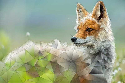 Wall Art, Folygon Fox Artwork